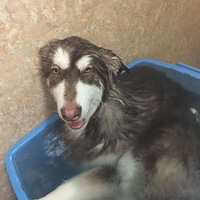 ���һ��Сʱ������