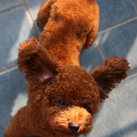 ���ǣ�����Ͱ�������������