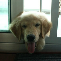 ��������顿С��Ů����Ů��˿ ���軹�Ǻܰ���Ŷ��