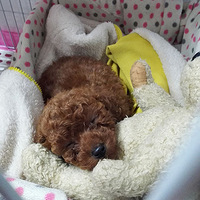 ��һ�ˣ��Ҽ�������Щ�����˯��