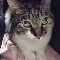 �������ͼͼ���������ȴ��ȡ�����