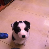 ������ҿ�������ʲô��һ��������ô�󣡷�