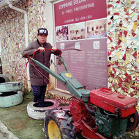 ����������ں��ݴ�ҵ���������
ʮ��-