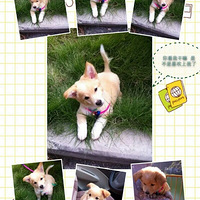 Сʱ���Сһ���վ�����