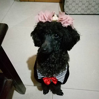 �����Ǹ���𤰮���ȵı��� �гԵĶ�Ҫ���