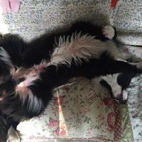 �Ҽҵı�����һһ˯���ǲ��Ǻܶ���