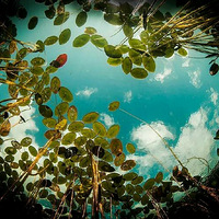 һֻ�����е������������ġ���ļ���ֻ��7