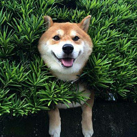 ���ĵ㣬 ûʲô������ģ� ��������˭Ҳ�e