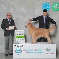 2015�ĺ��ݽ�ëѰ��Ȯ���ֲ����ܽ� 