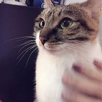 ͼͼ����Ϊʲô��ô�ȣ��۾�Ϊʲô��ô��