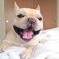 �����Ȳ��ȣ�