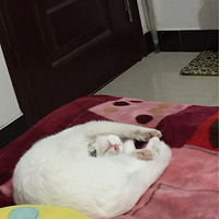 ����˯������