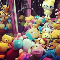�µ�һ�꣬�ܶ������ӵ�����Ը��Ӧ�����Ҹ�
