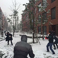 ��ѩ����