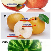 �ճ�ˮ������ѡ��������Ҳ�����򵽵�ˮ����