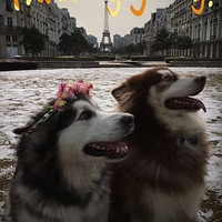 ����ɯ��.�����ƹ����鶨�춼��