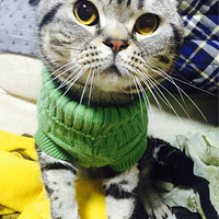 ��ʼ��Ը�⣬����Ҳϲ����