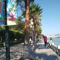 �����Ĺ�����