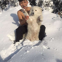 ��ɽɭ�ֹ�԰������������ʿɽ����