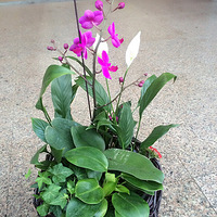 �������ɴ�����ϣ����Ǹ��������