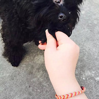 ��ô����۾���Ȼ����˵������.������