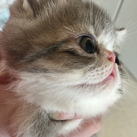 ��������������