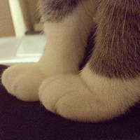 ����䣬��Ҳ��ӵ��һ˫������UGG