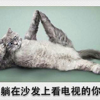 �����ڼ���㣬��ֱ̫�����ˣ�һ��������һ