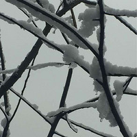 ͻ��������һ����ѩ��