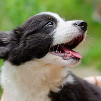 Aris˵��ʵ���ǿ»�����������ҵı���զ������ô�̣�