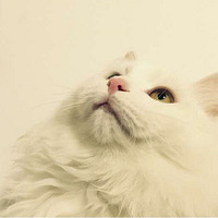 �þ�û����������ֻ�����ӣ�Ҳ��ˢ�����