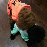 201���ݵ�������������