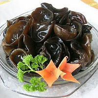 ������ �ٶ�Ҳ������