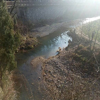 ʧ���ǲ���Ҫ�ƻ��ģ����ɹ�����Ҫһ������