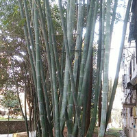 ���������20�ȣ���!