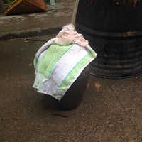 �ٺ������ճ��ƹ���