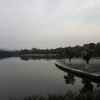 ������羰Ҳ����