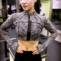 ���ն���������