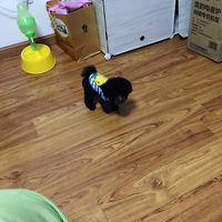 ��֪��������ͳ����ˣ���������������͵�