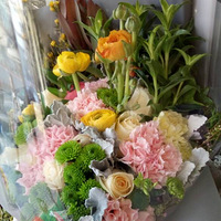 ��������