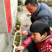 ����Ұݸ�����