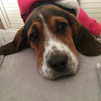 ��Ȼ�����е㲻�ã�������ôô��