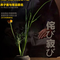 ��ʽ�ֹ�լ�Ŵ����չ�̳���մ�����ϴ������ƿ�廨��ˮ�໨��ڼ�