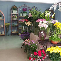 ̨�ݿ����꣬�q�ǻ��գ�Բ�㻨����