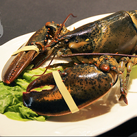 �������ο�����Ŀ�ٴ��߽�����ͷ�ա�  �𱬵�ԭ��Ȼ��......