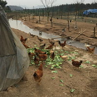 ͼ�⣺�л����������Ĺ�ϵ