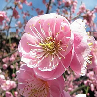 ���������˯