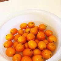 �����ƽ�۱��������������������������