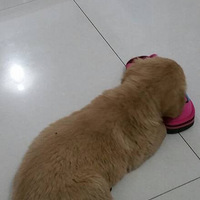 ˭�ܰ����Ǽ����ʺ�Ķ�����������ͷ������