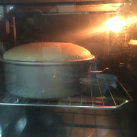 �Լ��������͵���